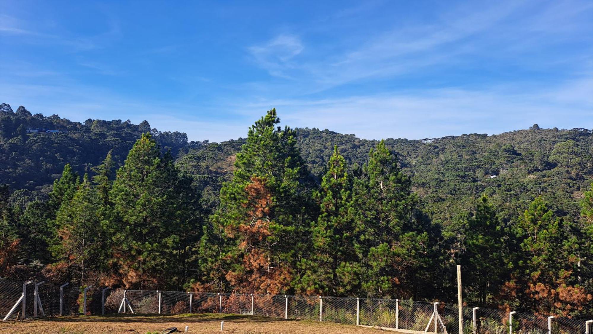 Chale Luz Do Luar Romantismo E Uma Linda Vista Campos do Jordão エクステリア 写真